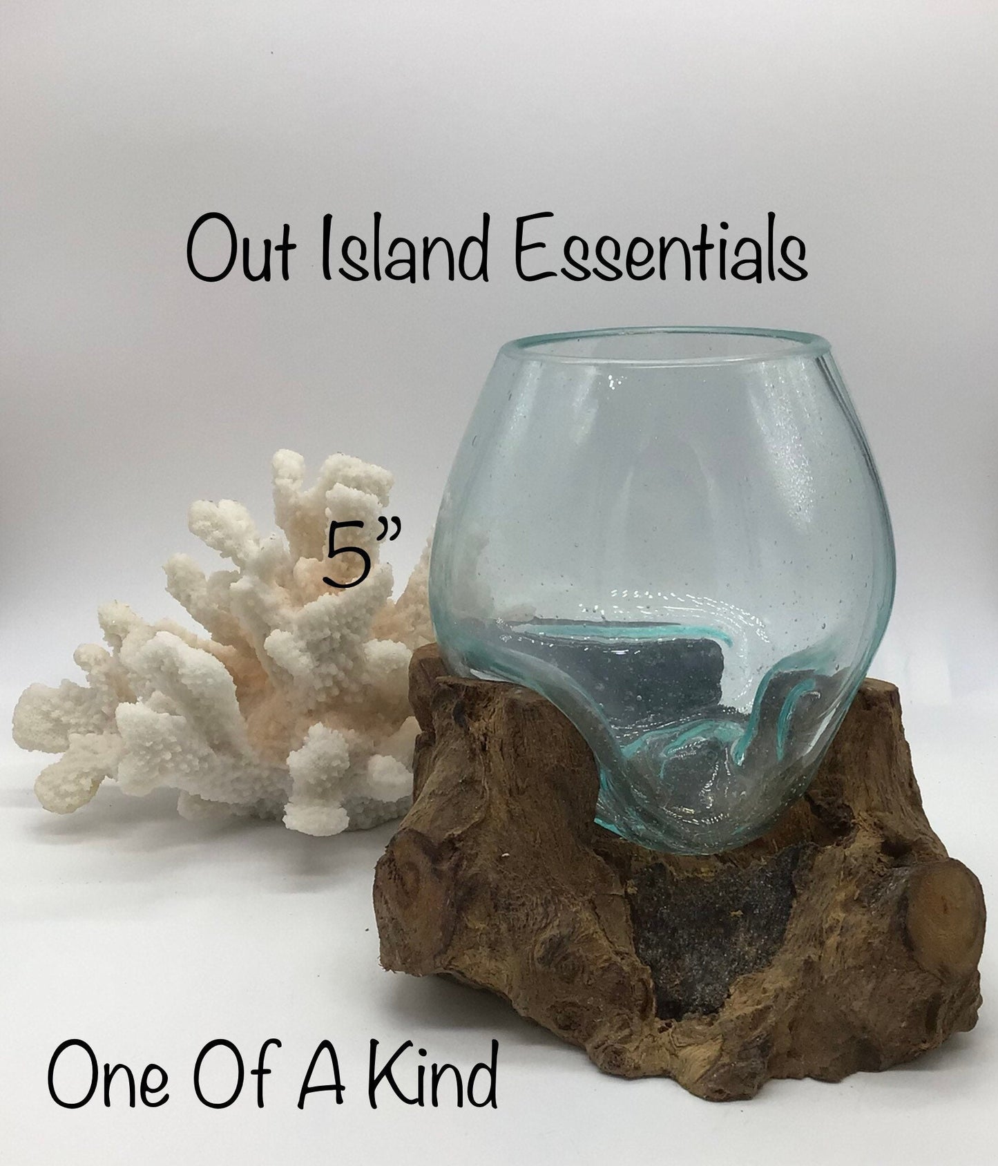 5" Blown Glass On Driftwood, Glass Terrariums, One Of A Kind Pieces