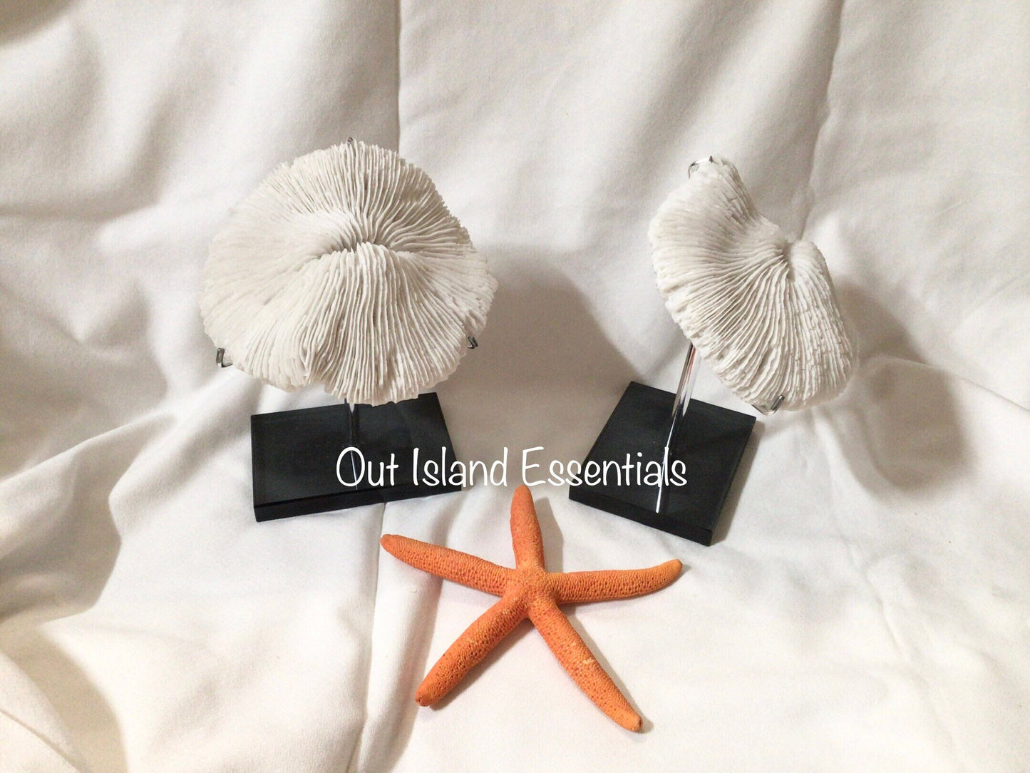 Faux Mushroom Coral Display I White Mushroom Coral I Faux Ocean Coral I 5 1/2” Mushroom Coral | Faux White Coral I White Display Coral