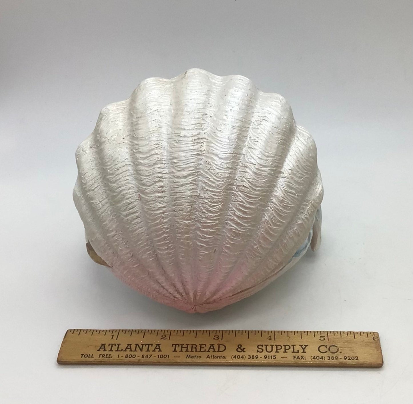 Mermaid Baby In Clam, Sleeping Merbaby, Napping MerBaby, Little Mermaid In Shell