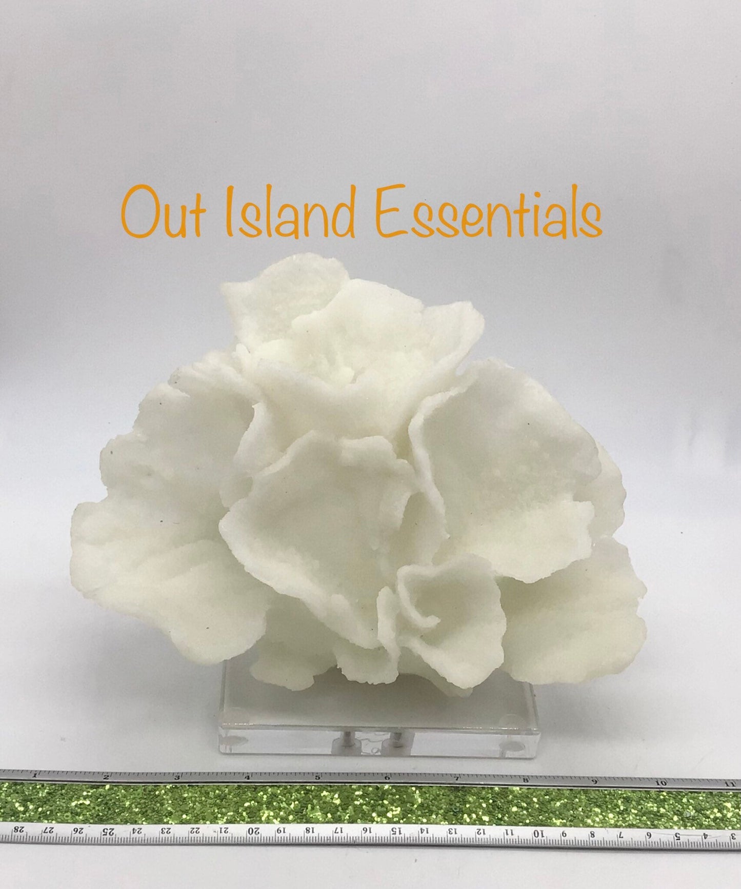 Faux Poca Coral I Faux White Poca Coral I Eco=Friendly Ocean Coral I Faux White Display Coral I White Coral Centerpiece