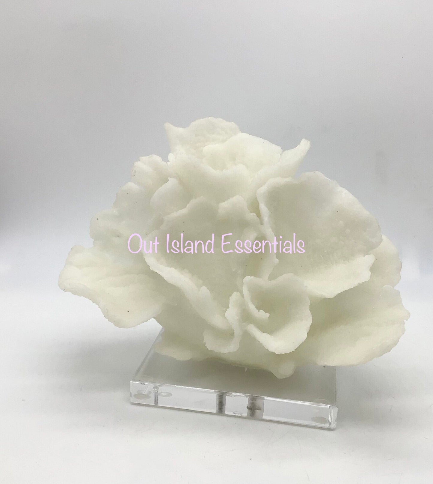 Faux Poca Coral I Faux White Poca Coral I Eco=Friendly Ocean Coral I Faux White Display Coral I White Coral Centerpiece