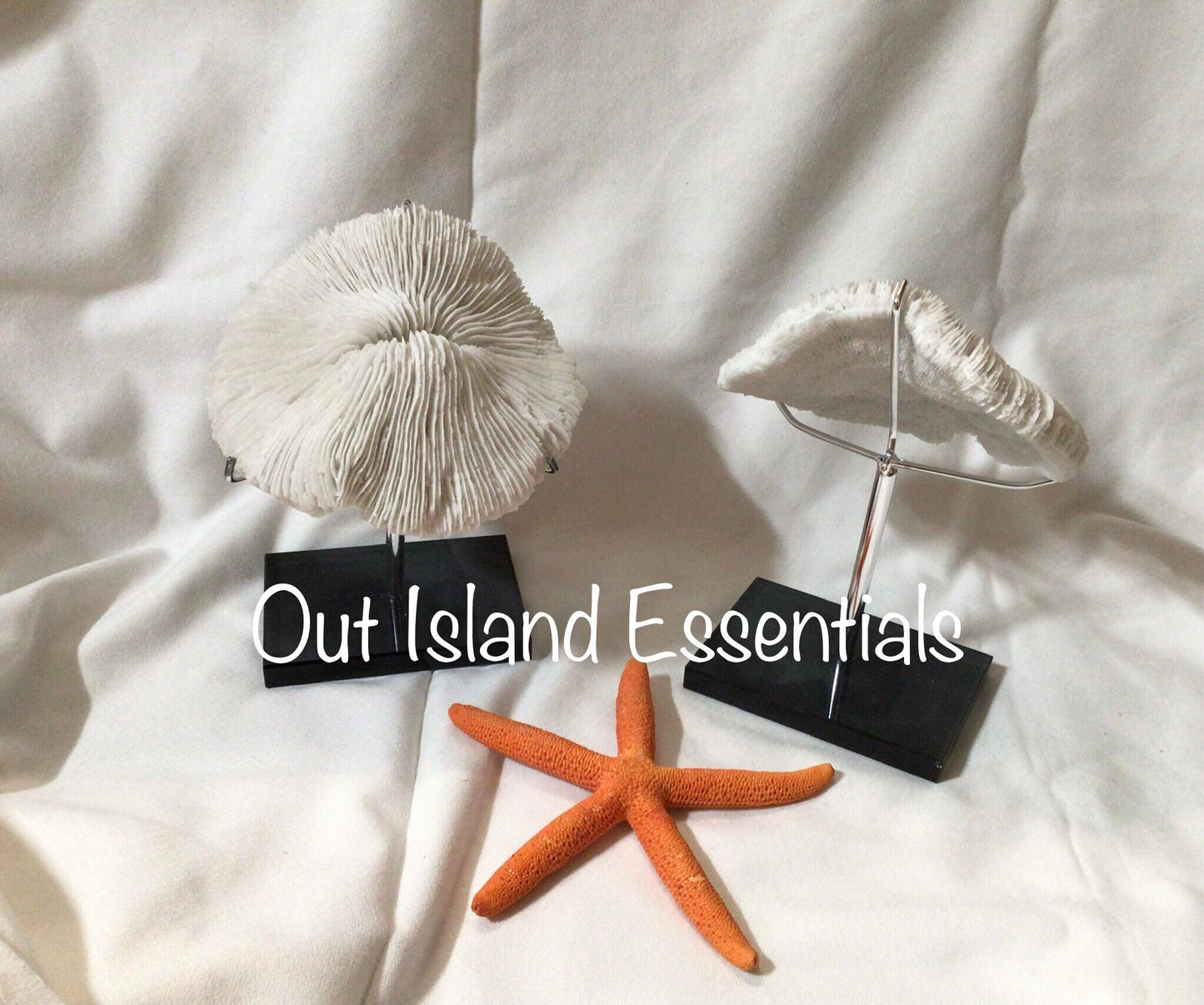 Faux Mushroom Coral Display I White Mushroom Coral I Faux Ocean Coral I 5 1/2” Mushroom Coral | Faux White Coral I White Display Coral
