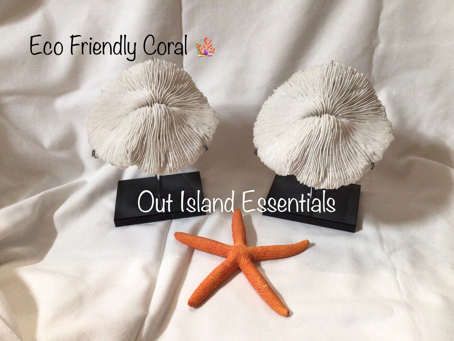 Faux Mushroom Coral Display I White Mushroom Coral I Faux Ocean Coral I 5 1/2” Mushroom Coral | Faux White Coral I White Display Coral