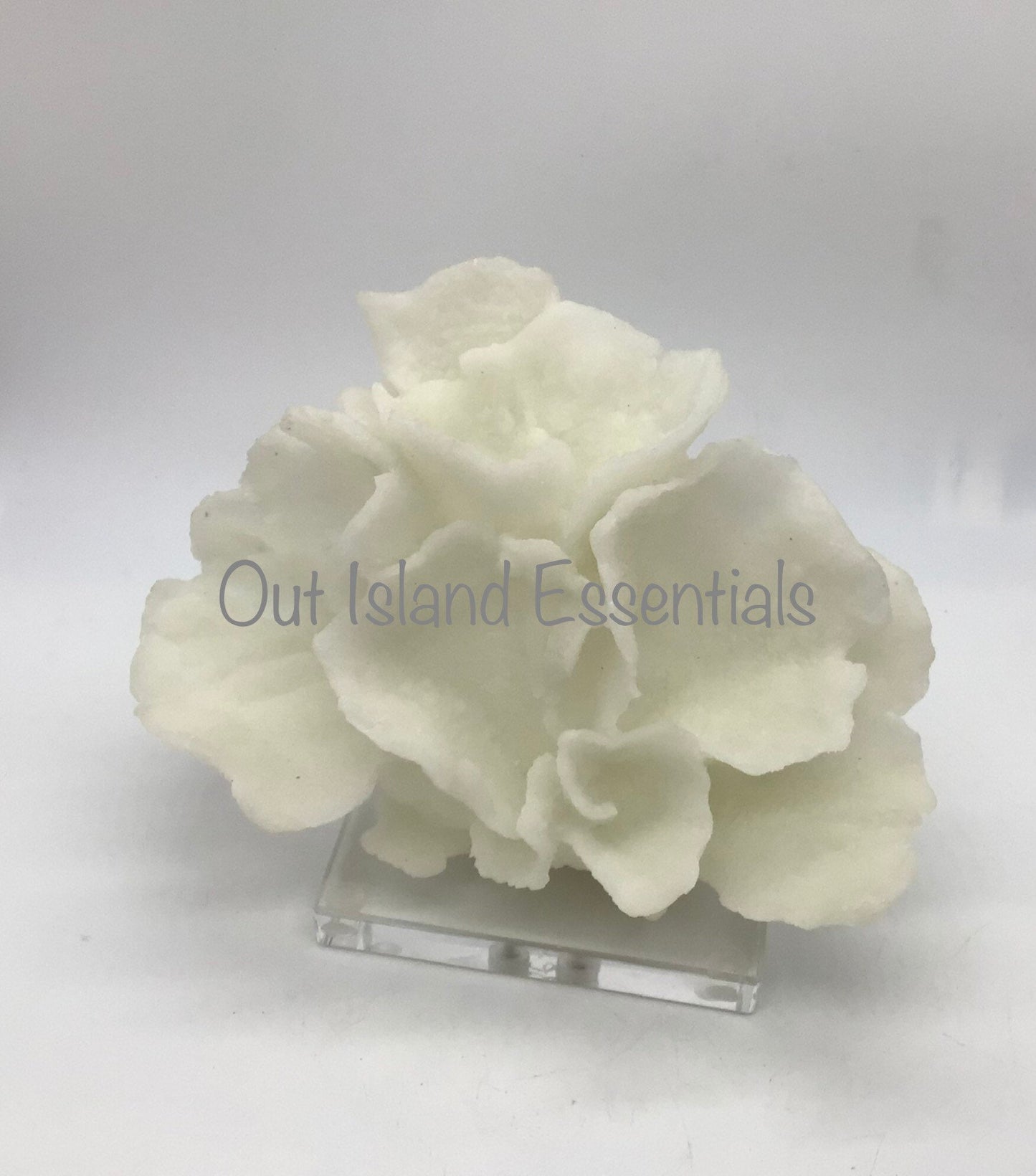 Faux Poca Coral I Faux White Poca Coral I Eco=Friendly Ocean Coral I Faux White Display Coral I White Coral Centerpiece