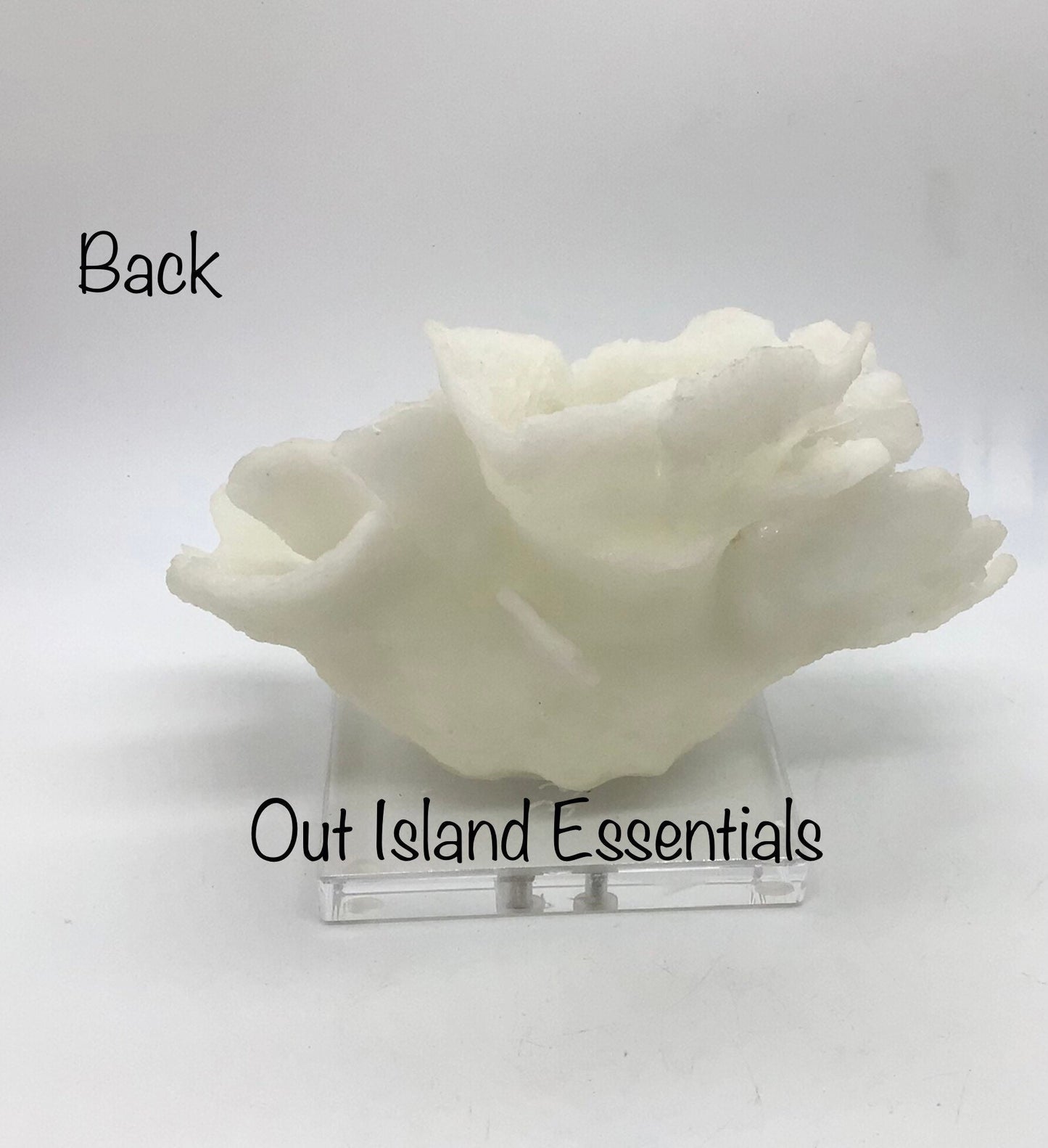 Faux Poca Coral I Faux White Poca Coral I Eco=Friendly Ocean Coral I Faux White Display Coral I White Coral Centerpiece