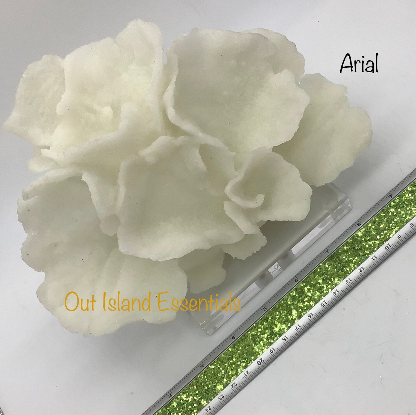 Faux Poca Coral I Faux White Poca Coral I Eco=Friendly Ocean Coral I Faux White Display Coral I White Coral Centerpiece