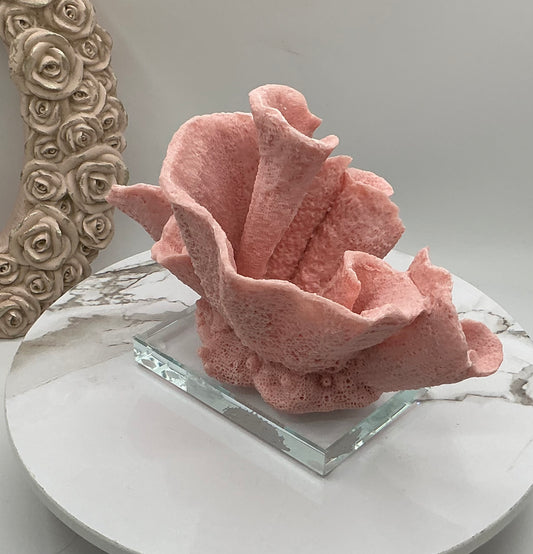 Faux Mounted Pink Cup Coral Display, Colorful Coral Decoration, Eco Friendly Mounted Coral