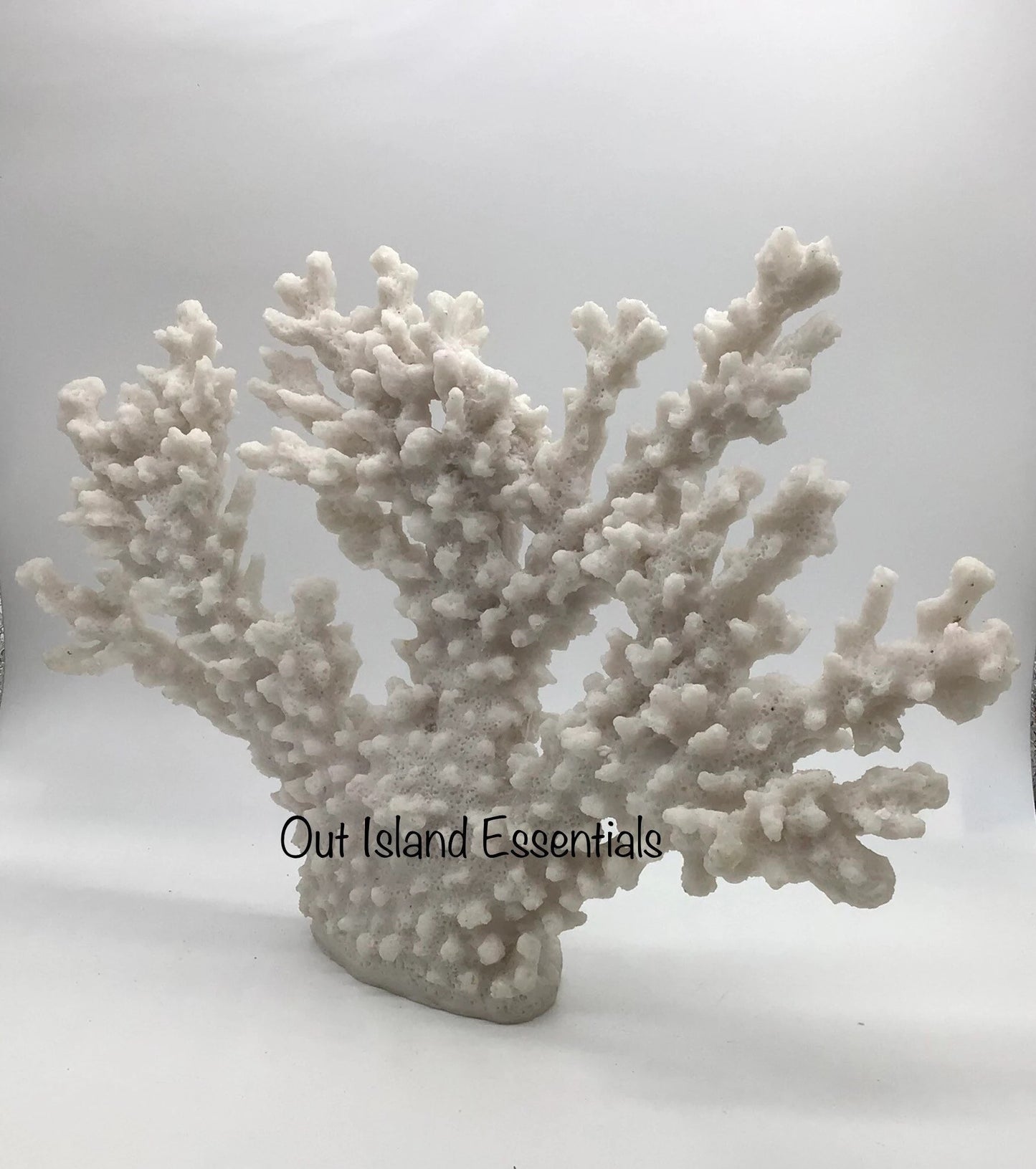 13" White Faux Coral Display, Eco Friendly Faux Coral