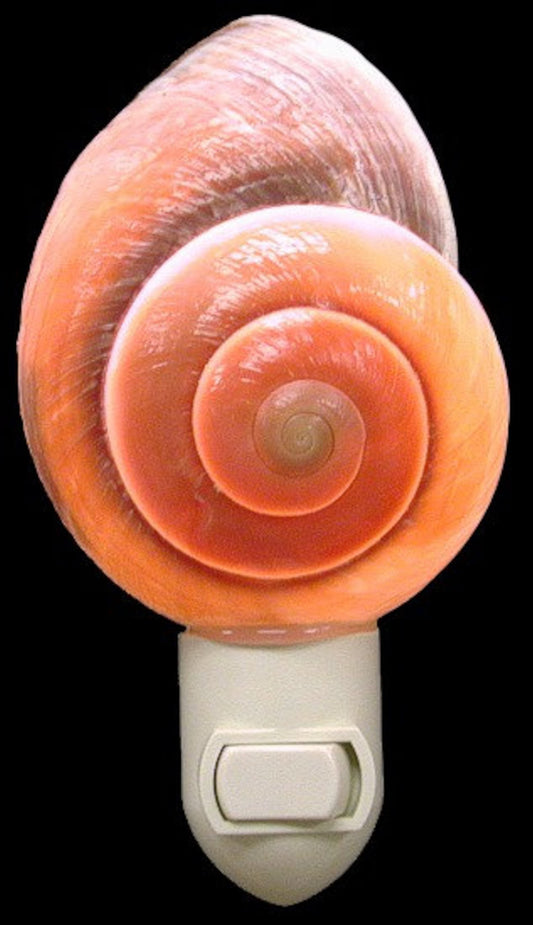 Night Light I Brown Mountain Land Snail Seashell Night Light I Nursery Light I Bathroom Light I Hallway Light