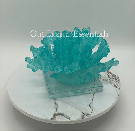 Faux Mounted Bahamas Blue Waters Coral Display, Eco Friendly Coral