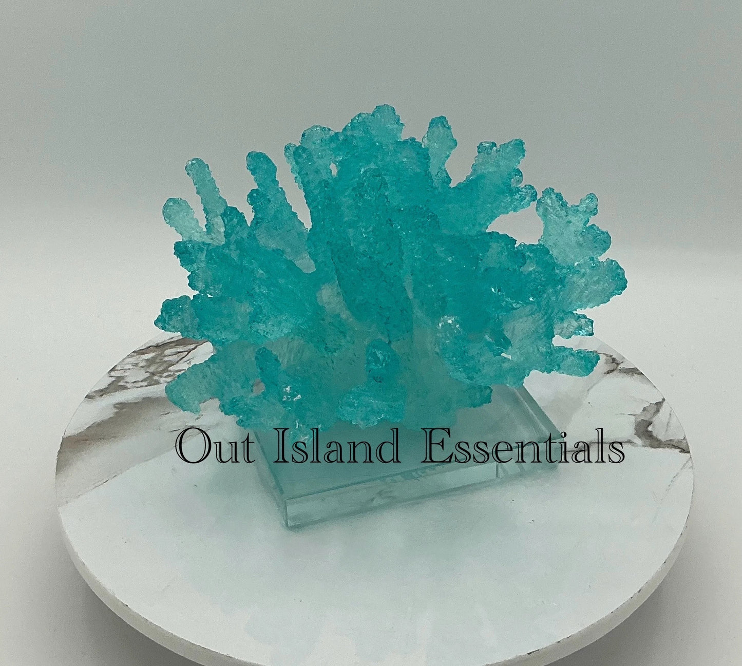 Faux Mounted Bahamas Blue Waters Coral Display, Eco Friendly Coral