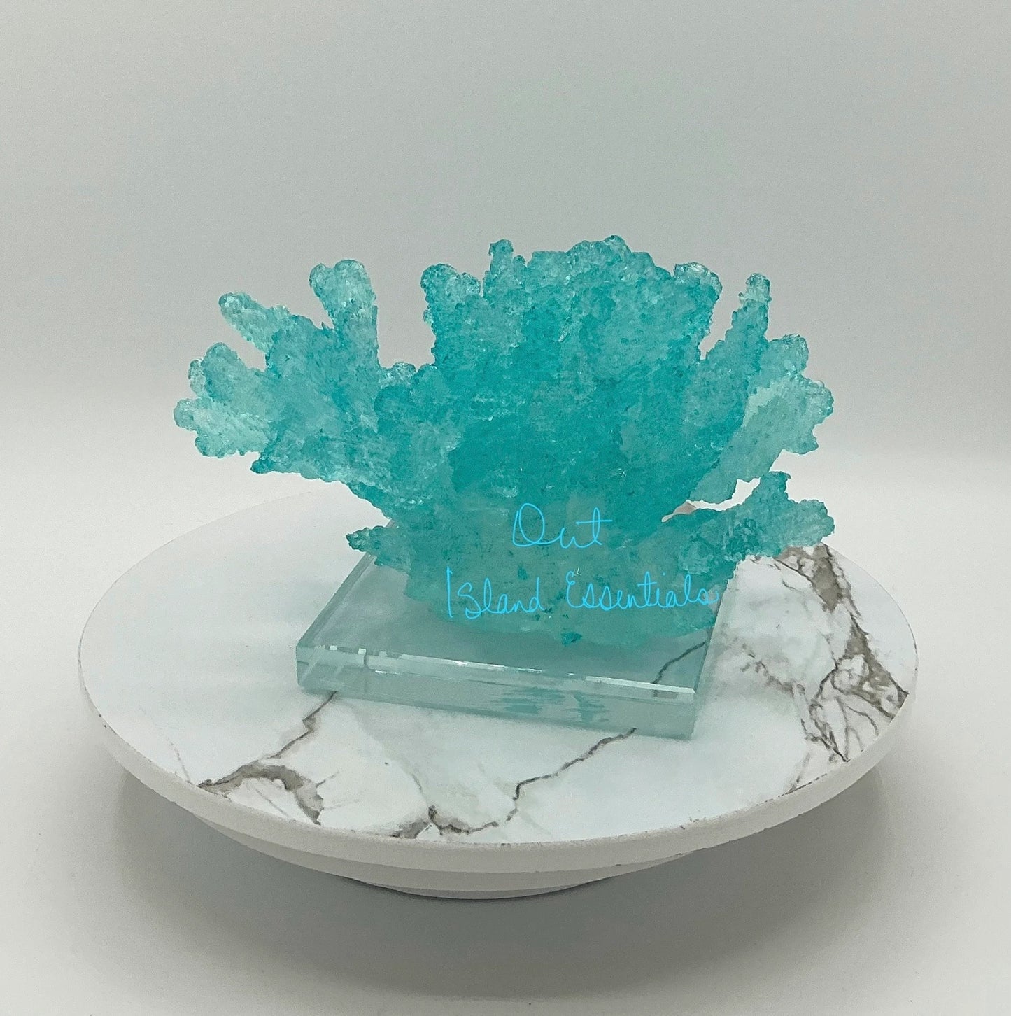 Faux Mounted Bahamas Blue Waters Coral Display, Eco Friendly Coral