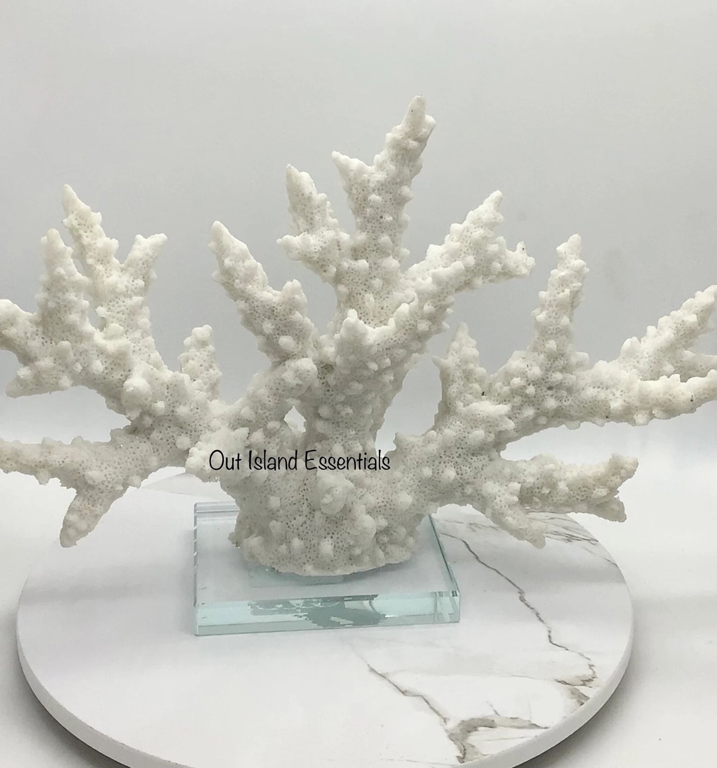 Faux Branch Coral Display, 12" Wide Eco-Friendly Glass Mounted Branch Coral