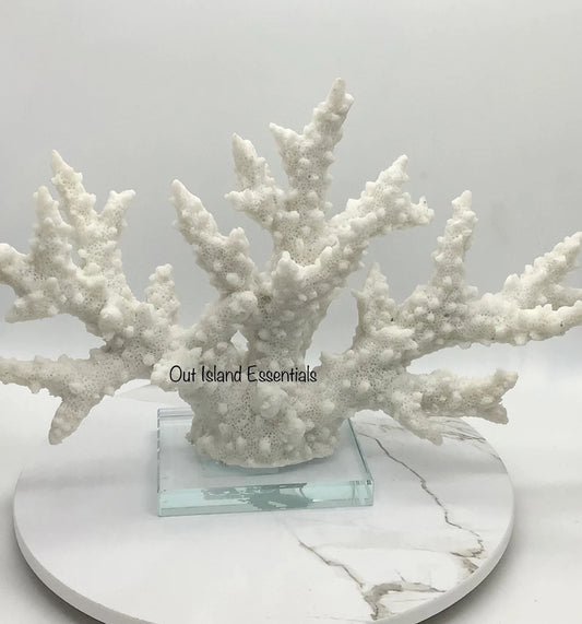 Faux Branch Coral Display, 12" Wide Eco-Friendly Glass Mounted Branch Coral