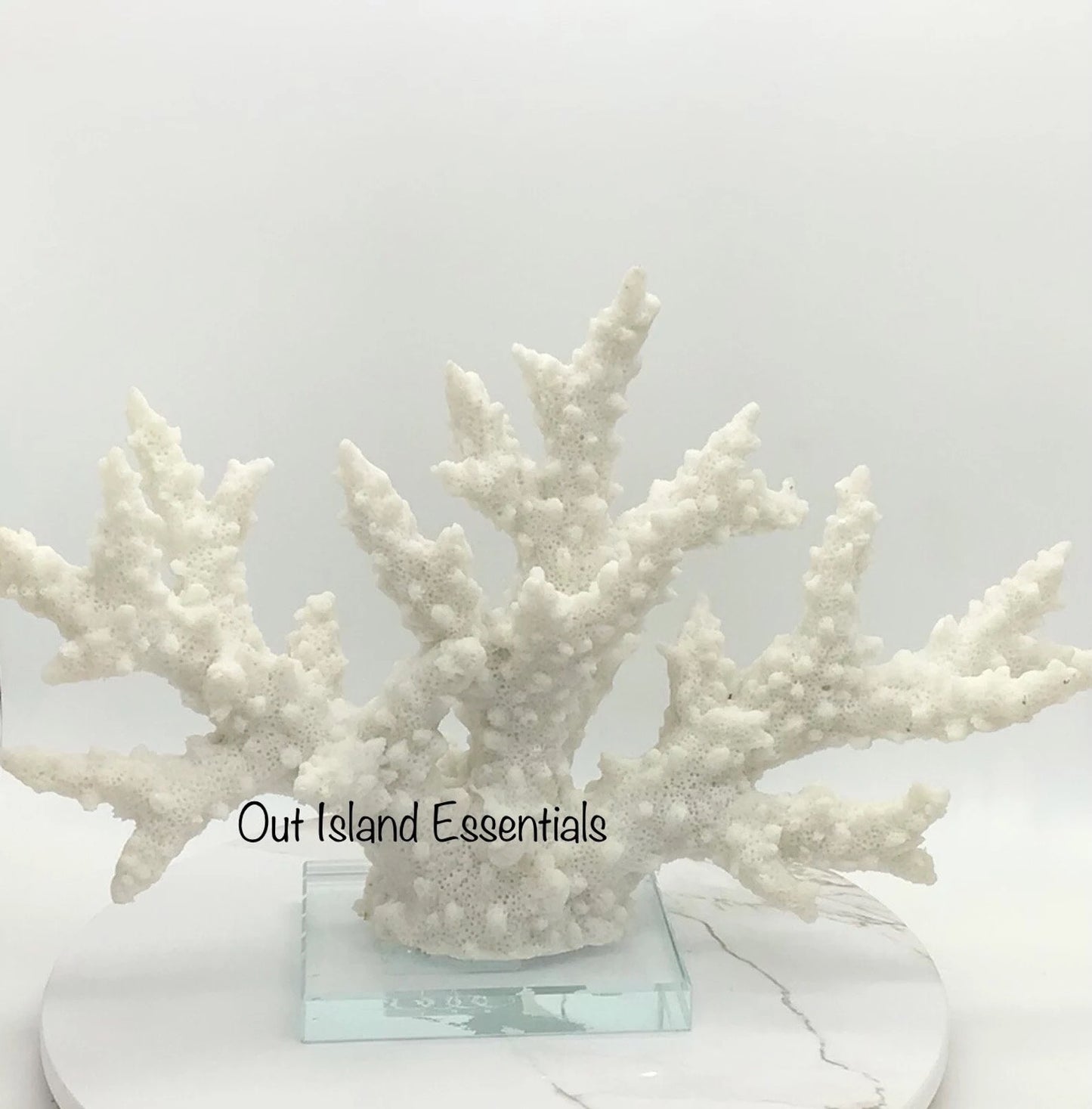 Faux Branch Coral Display, 12" Wide Eco-Friendly Glass Mounted Branch Coral