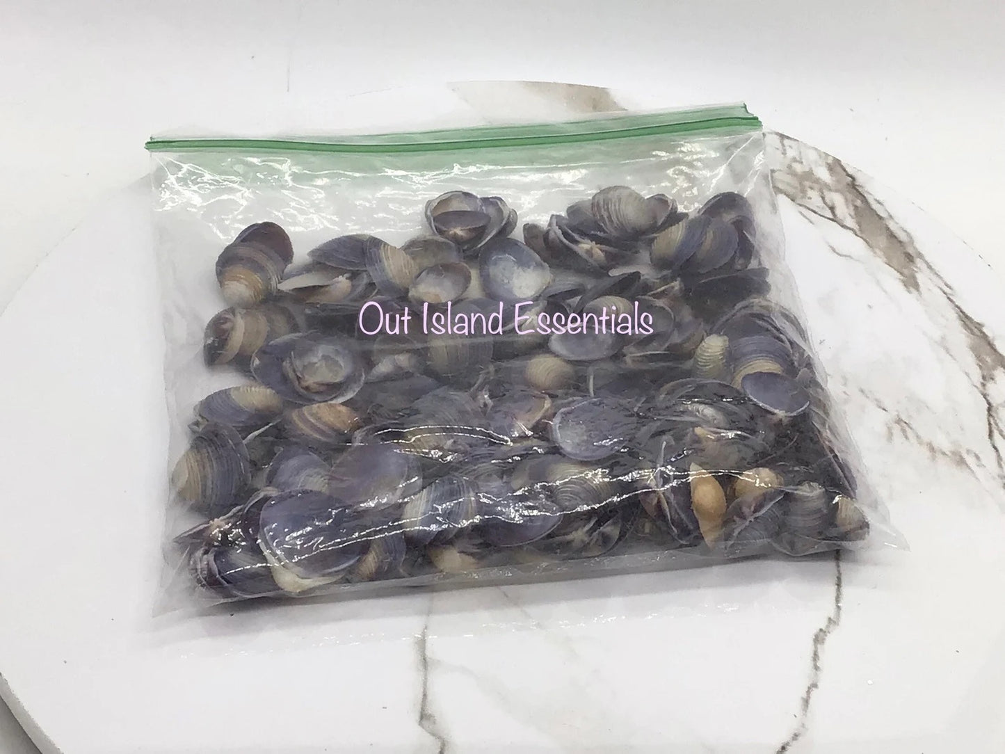 5oz Purple Baby Clam Seashells | Purple Baby Clams | Purple Seashells |  Purple Craft Shells Approx. 1/2"-3/4"