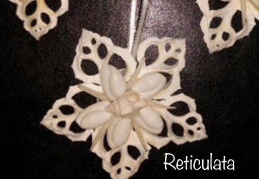 Seashell Snowflake, White Snowflake, Seashell Ornament, Shell Christmas Ornament, Seashell Snowflake Christmas Ornament, Bursa Snowflake