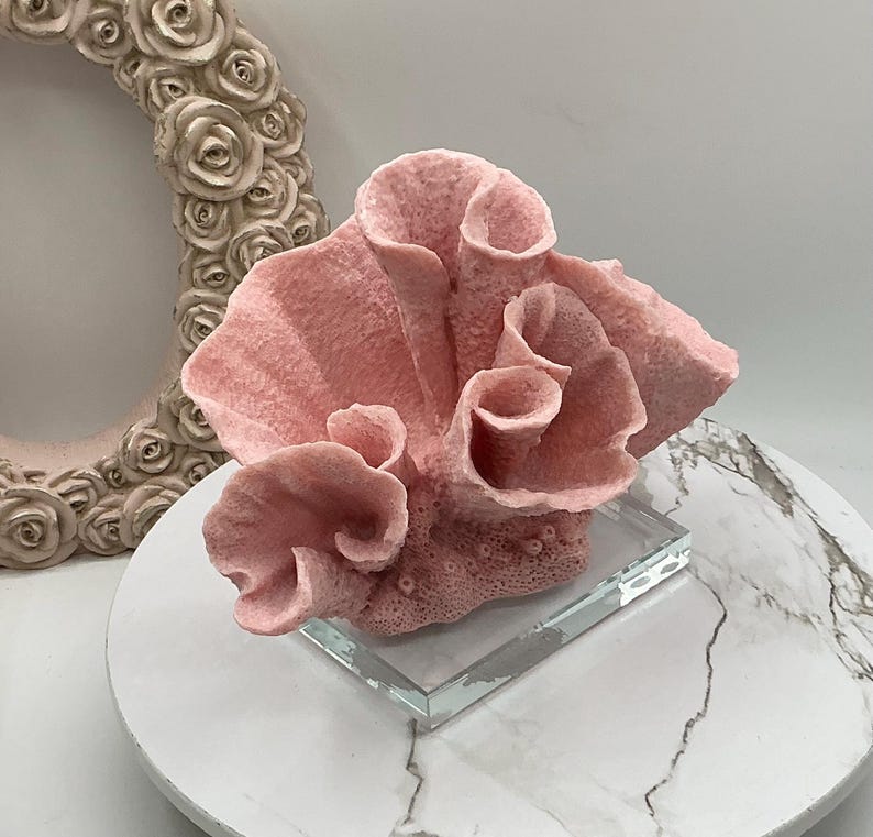 aux Pink Cup Coral Display | Coral Decoration | Eco Friendly Coral | Display Coral On Glass Block | Faux Coral Decor With Clear Glass Base