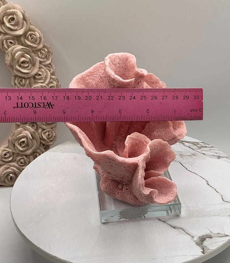 aux Pink Cup Coral Display | Coral Decoration | Eco Friendly Coral | Display Coral On Glass Block | Faux Coral Decor With Clear Glass Base