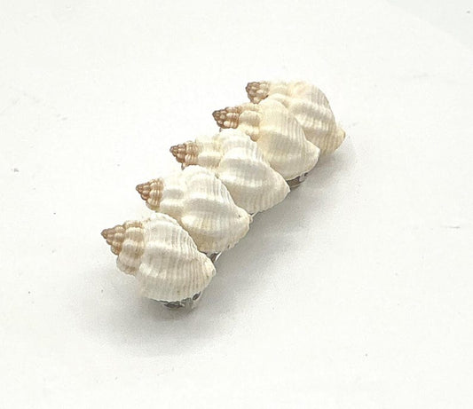 Seashell Hair Clip I Mermaid Hair Clips I Coastal Hair Clip I Seashell Hair Clip I Coastal Hair Accessories