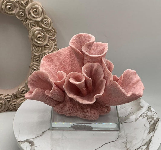 aux Pink Cup Coral Display | Coral Decoration | Eco Friendly Coral | Display Coral On Glass Block | Faux Coral Decor With Clear Glass Base