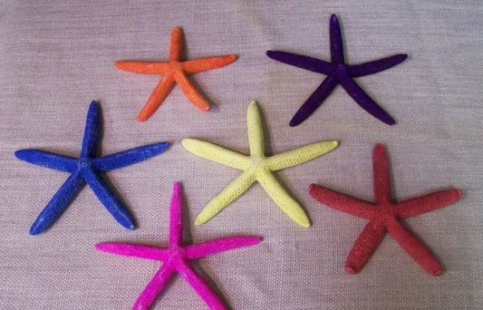 Finger Starfish I 4-6" Colored Starfish I Starfish Decoration I Coastal Decorations I Bright Colored Dyed Starfish