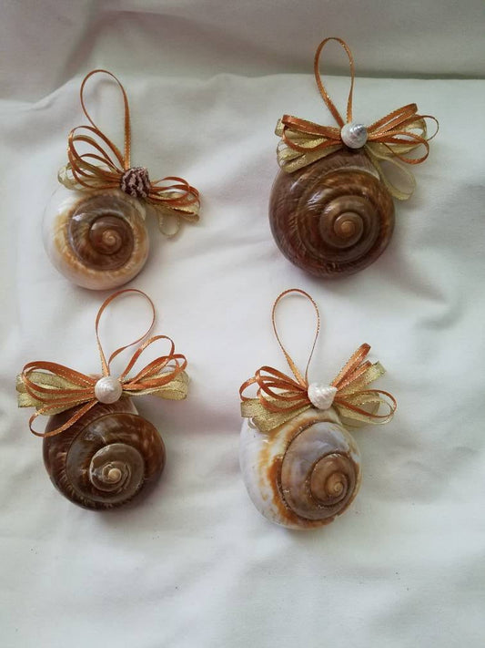 Mountain Snail Shell, Shell Ornaments, Christmas Ornament,  Coastal Christmas Ornament, Seashell Christmas Ornament, Christmas Seashell