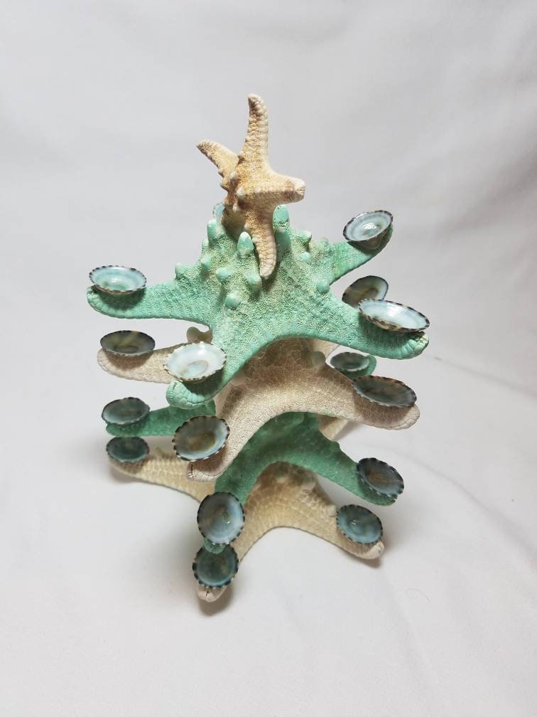 Starfish Christmas Tree Decoration, Limpet Starfish Christmas Tree, Starfish Beach Christmas Tree, Table Top Christmas Tree, Green Tree