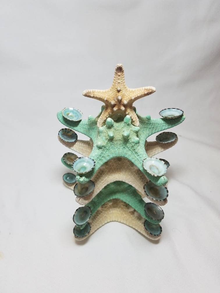 Starfish Christmas Tree Decoration, Limpet Starfish Christmas Tree, Starfish Beach Christmas Tree, Table Top Christmas Tree, Green Tree