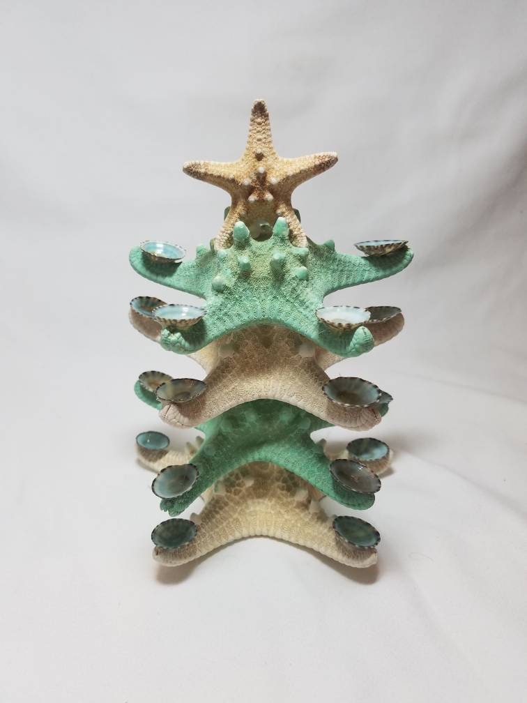 Starfish Christmas Tree Decoration, Limpet Starfish Christmas Tree, Starfish Beach Christmas Tree, Table Top Christmas Tree, Green Tree