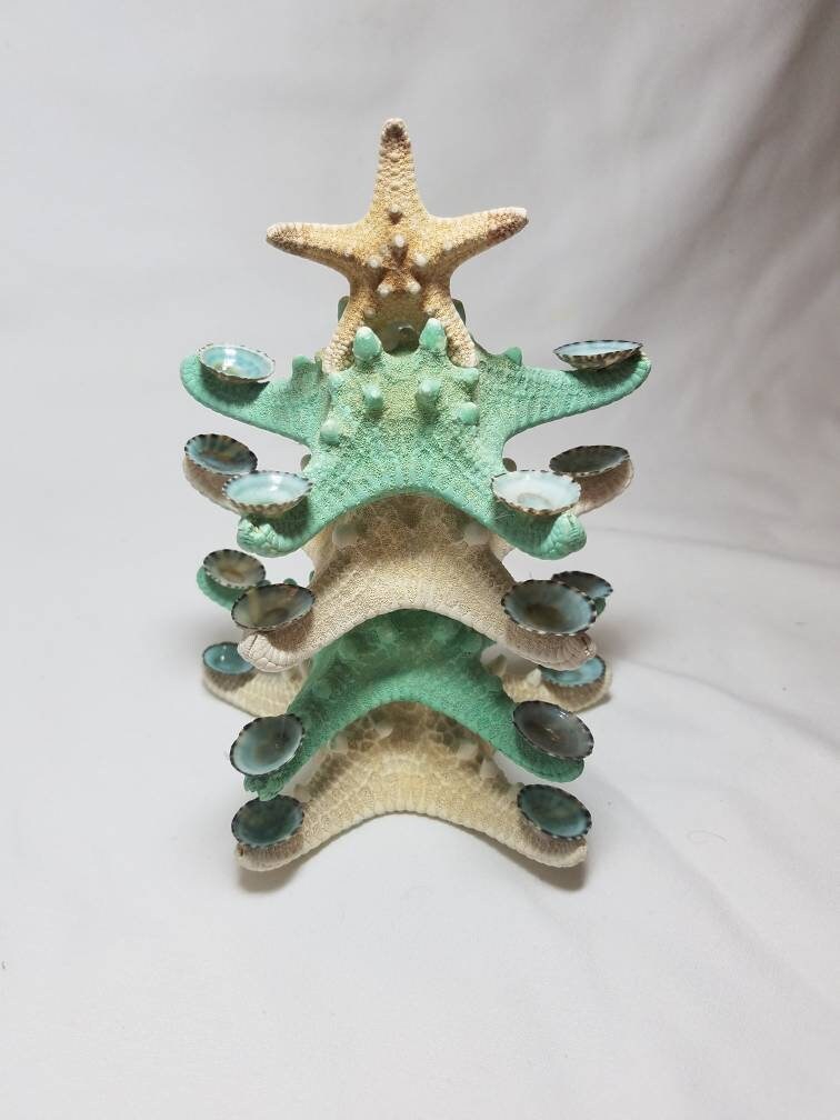 Starfish Christmas Tree Decoration, Limpet Starfish Christmas Tree, Starfish Beach Christmas Tree, Table Top Christmas Tree, Green Tree