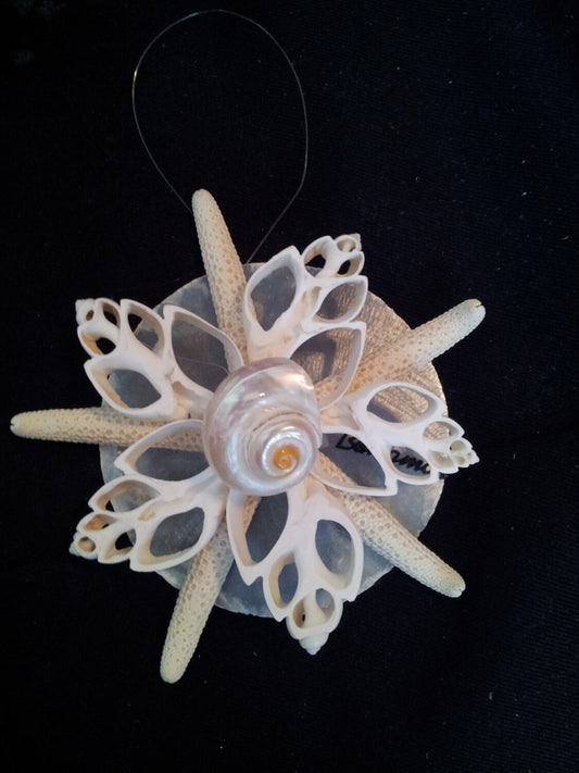 Dainty Frills Starfish, White Finger Starfish Ornament, Seashell Ornament, Starfish Christmas Ornament, Seashell Christmas Ornament