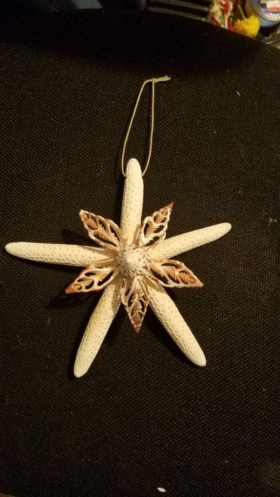 Starfish Ornament, Unique Starfish, Seashells and Starfish, Starfish Christmas Ornament