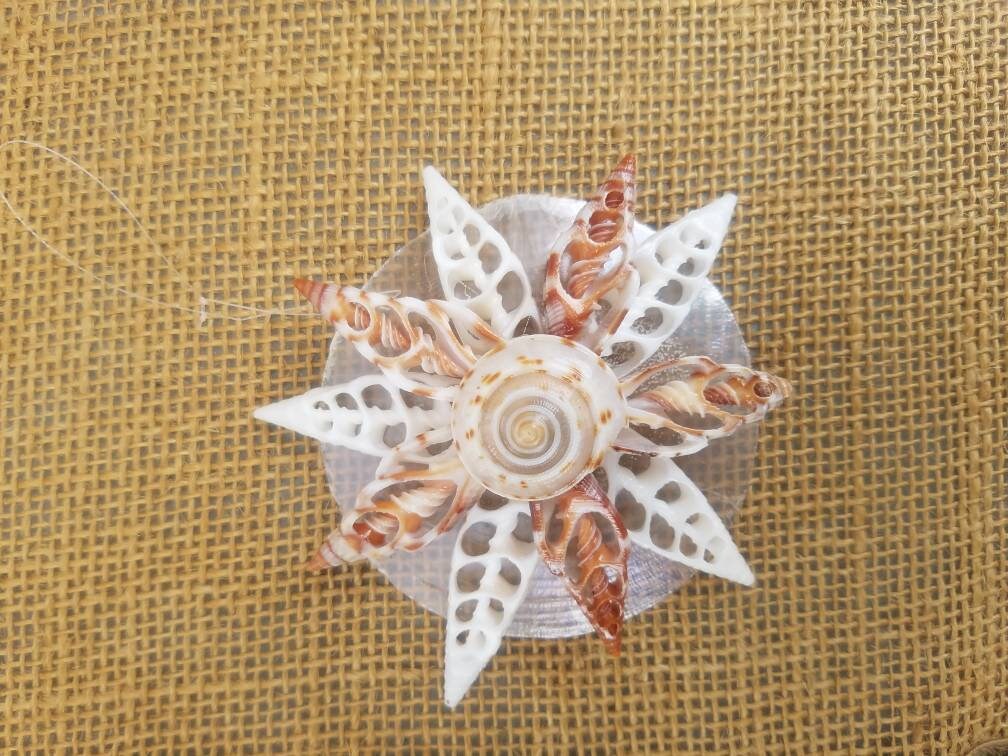 Snowflake Ornament, Seashell Snowflake Christmas Ornament, Seashell Ornament, Coastal Christmas Shell Snowflake, Snowflake, Coastal Ornament