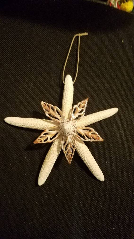 Starfish Ornament, Unique Starfish, Seashells and Starfish, Starfish Christmas Ornament