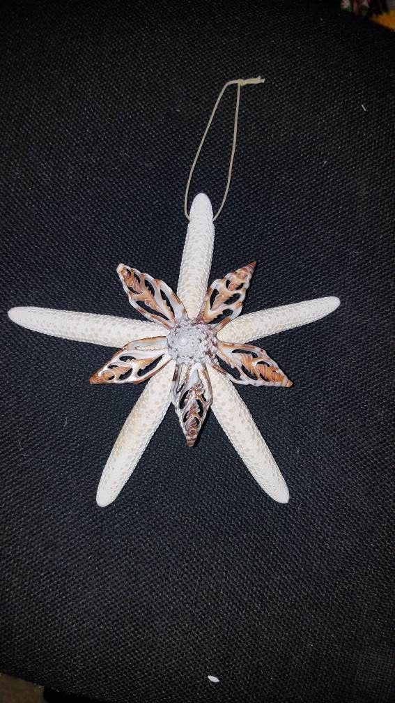 Starfish Ornament, Unique Starfish, Seashells and Starfish, Starfish Christmas Ornament