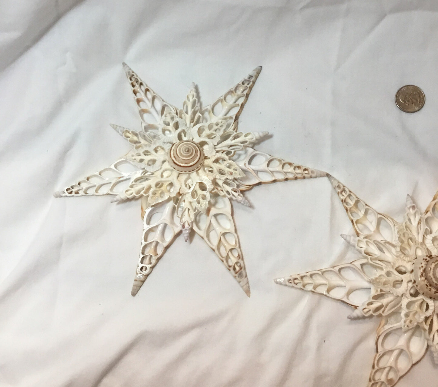 Grand Tibia Snowflake I Seashell Ornament I Tree Topper Ornament I Seashell Christmas Ornament I Coastal Ornament, Coastal Christmas