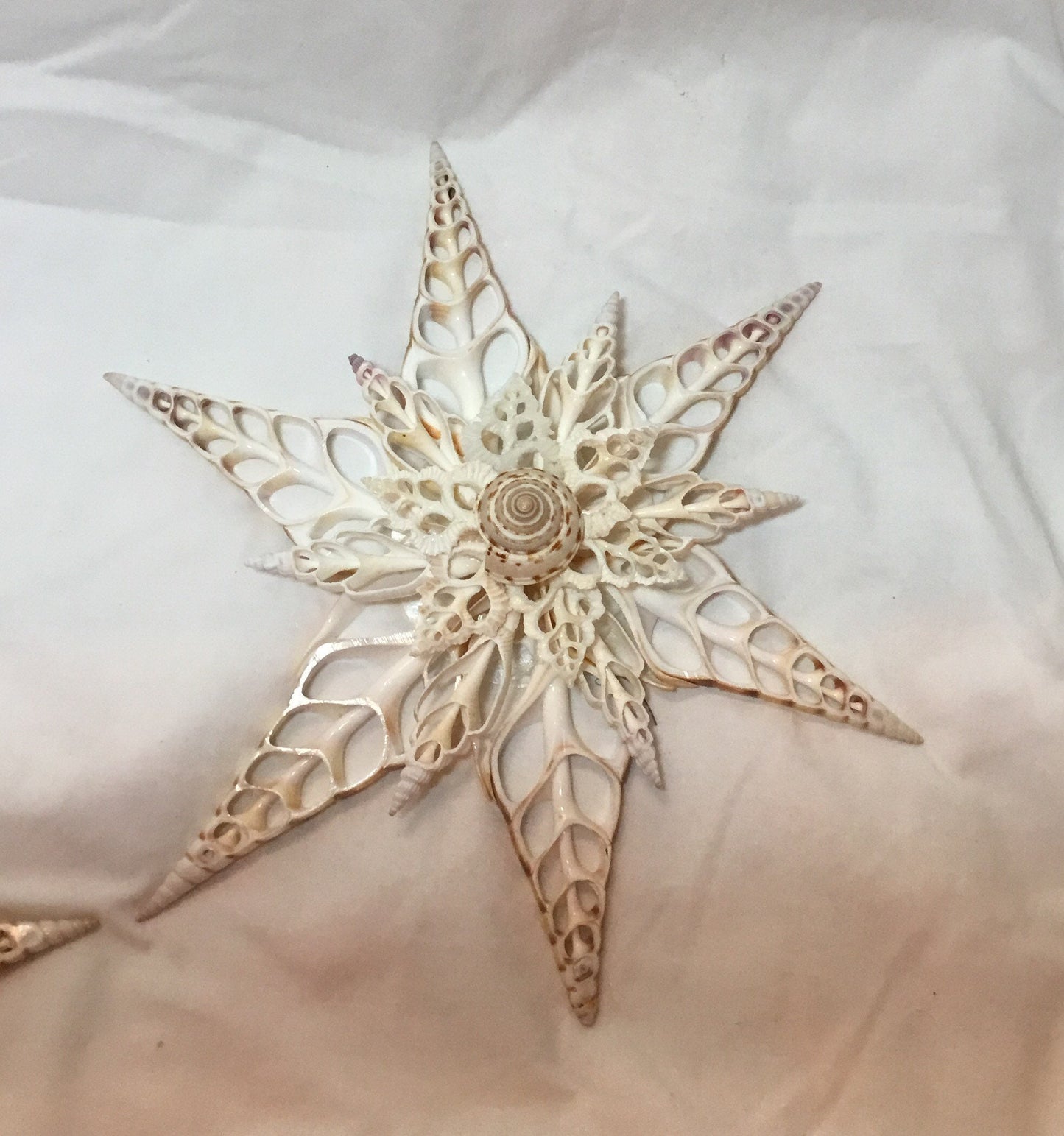 Grand Tibia Snowflake I Seashell Ornament I Tree Topper Ornament I Seashell Christmas Ornament I Coastal Ornament, Coastal Christmas