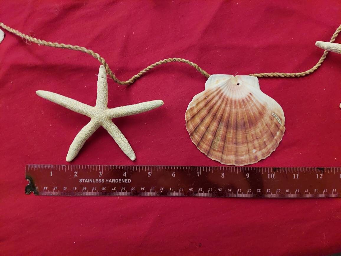 Seashell Garland I Clam and Finger Starfish Garland I Seashell Decor I Shell and Starfish Garland 95 Inch Garland