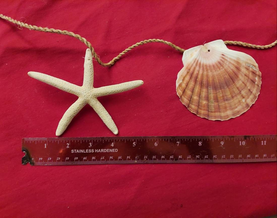 Seashell Garland I Clam and Finger Starfish Garland I Seashell Decor I Shell and Starfish Garland 95 Inch Garland