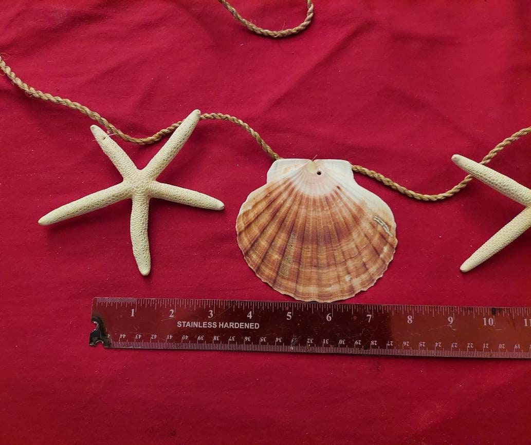 Seashell Garland I Clam and Finger Starfish Garland I Seashell Decor I Shell and Starfish Garland 95 Inch Garland