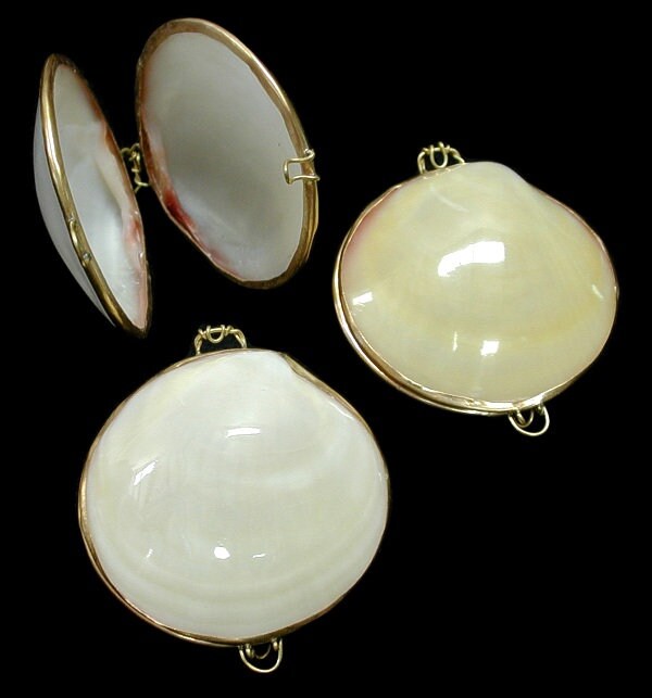 Seashell Coin Purse I Seashell Pill Box I Seashell Ring Holder I Shell Purse I Coastal Wedding Ring Pillow I Seashell Trinket Box
