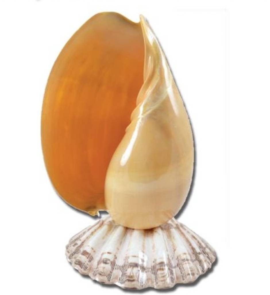 Melon Seashell Coastal Light, Coastal Beach Cottage Lighting