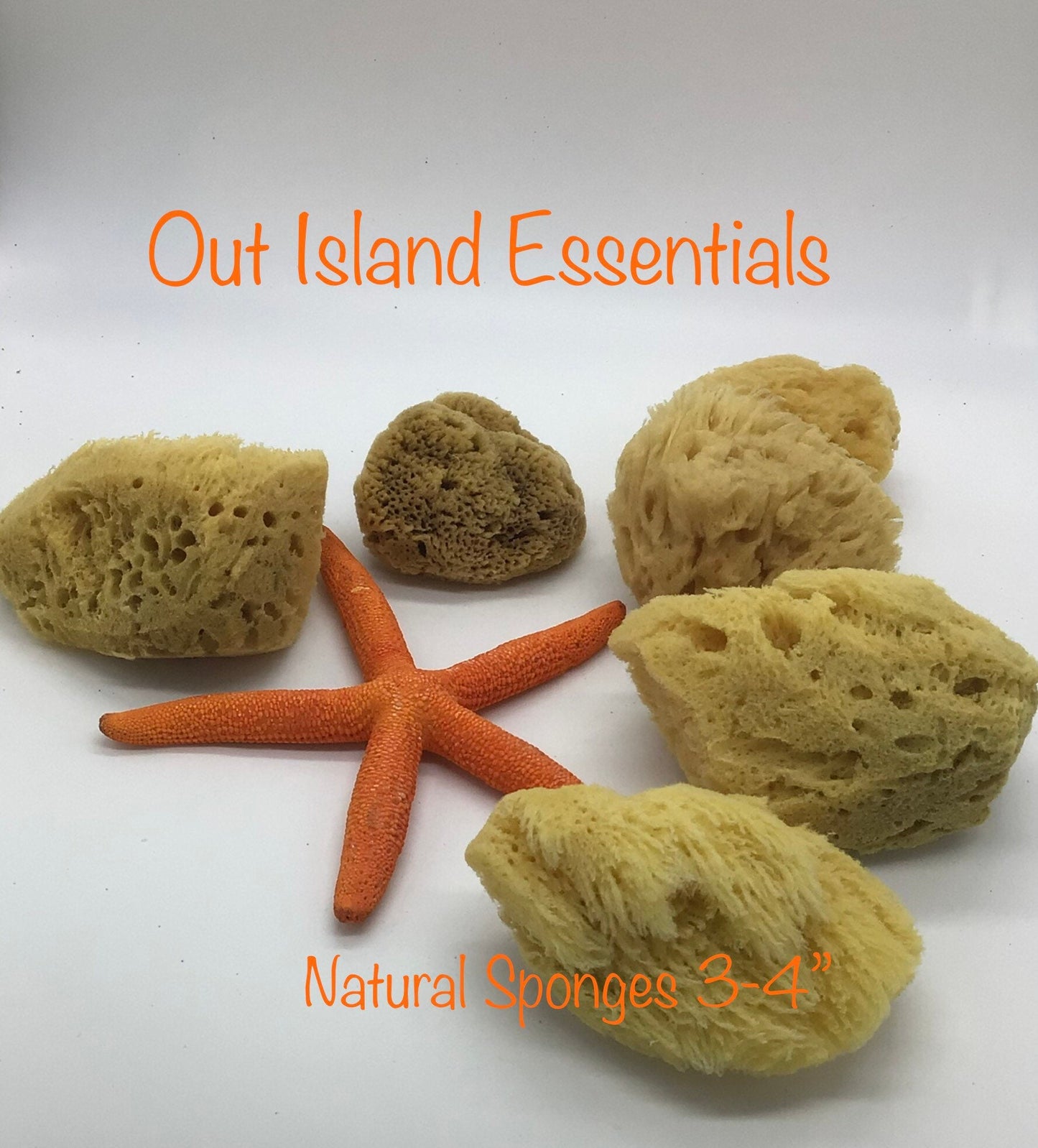 ONE Piece Hermit Crab Sponge I Hermit Crab Drinking Sponge I Small 2-4" Hermit Crab Tank Sponges