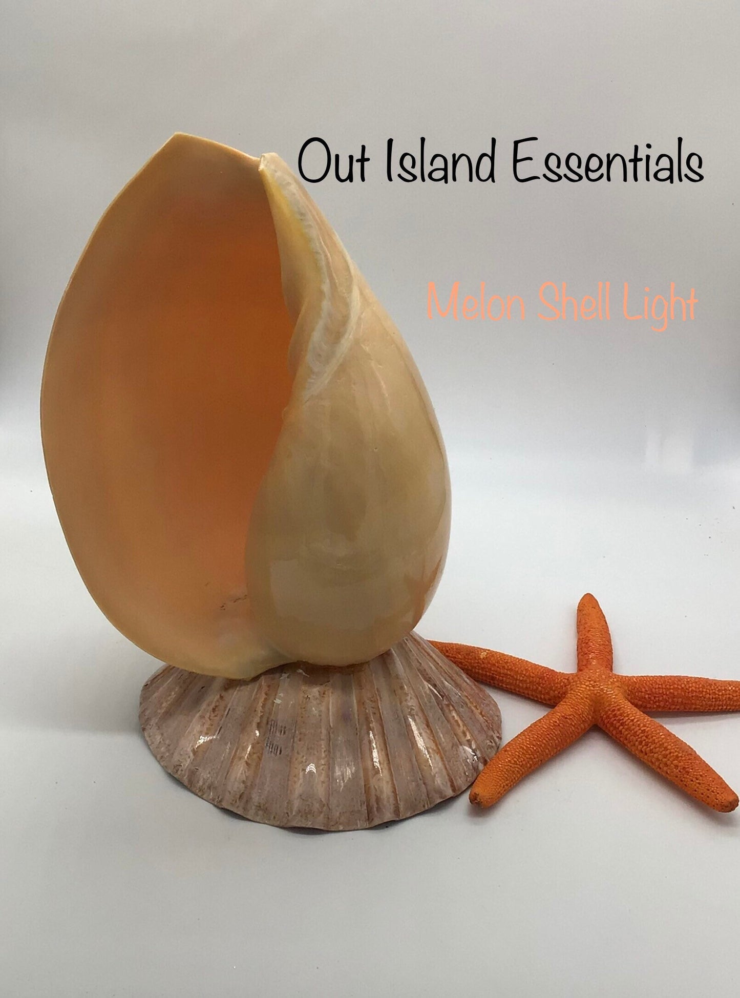 Melon Seashell Coastal Light, Coastal Beach Cottage Lighting