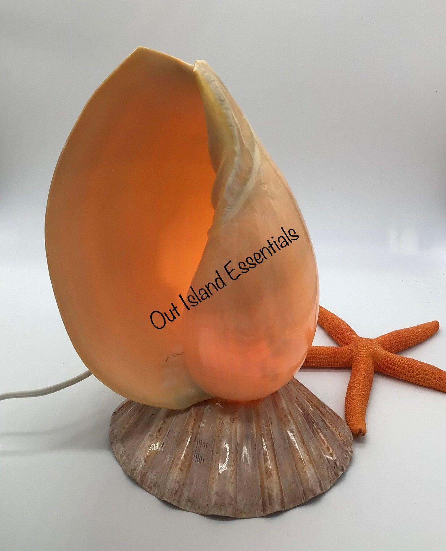 Melon Seashell Coastal Light, Coastal Beach Cottage Lighting