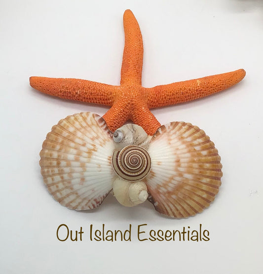 Seashell Hair Clip I Mermaid Hair Clip I Clam Shell Hair Clip I Coastal Clip I Shell Hair Clip I Hair Accessories