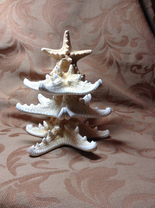 Medium Starfish Christmas Tree, Mini Christmas Tree,  Tabletop Christmas Tree,  Starfish Tree