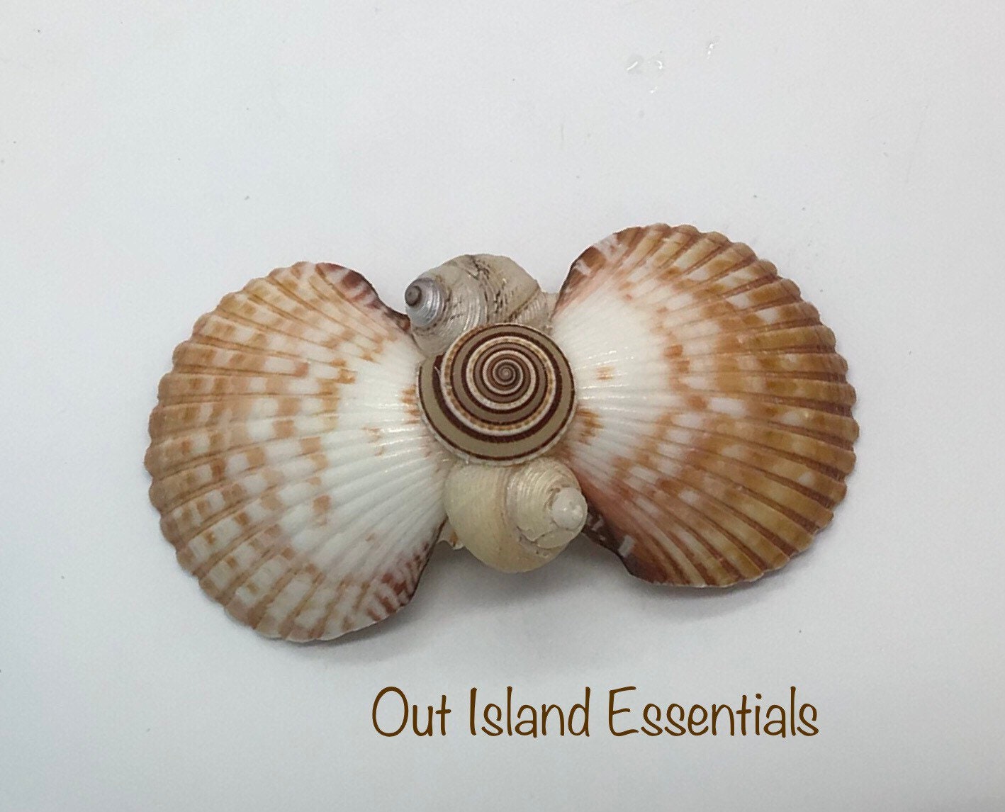 Seashell Hair Clip I Mermaid Hair Clip I Clam Shell Hair Clip I Coastal Clip I Shell Hair Clip I Hair Accessories