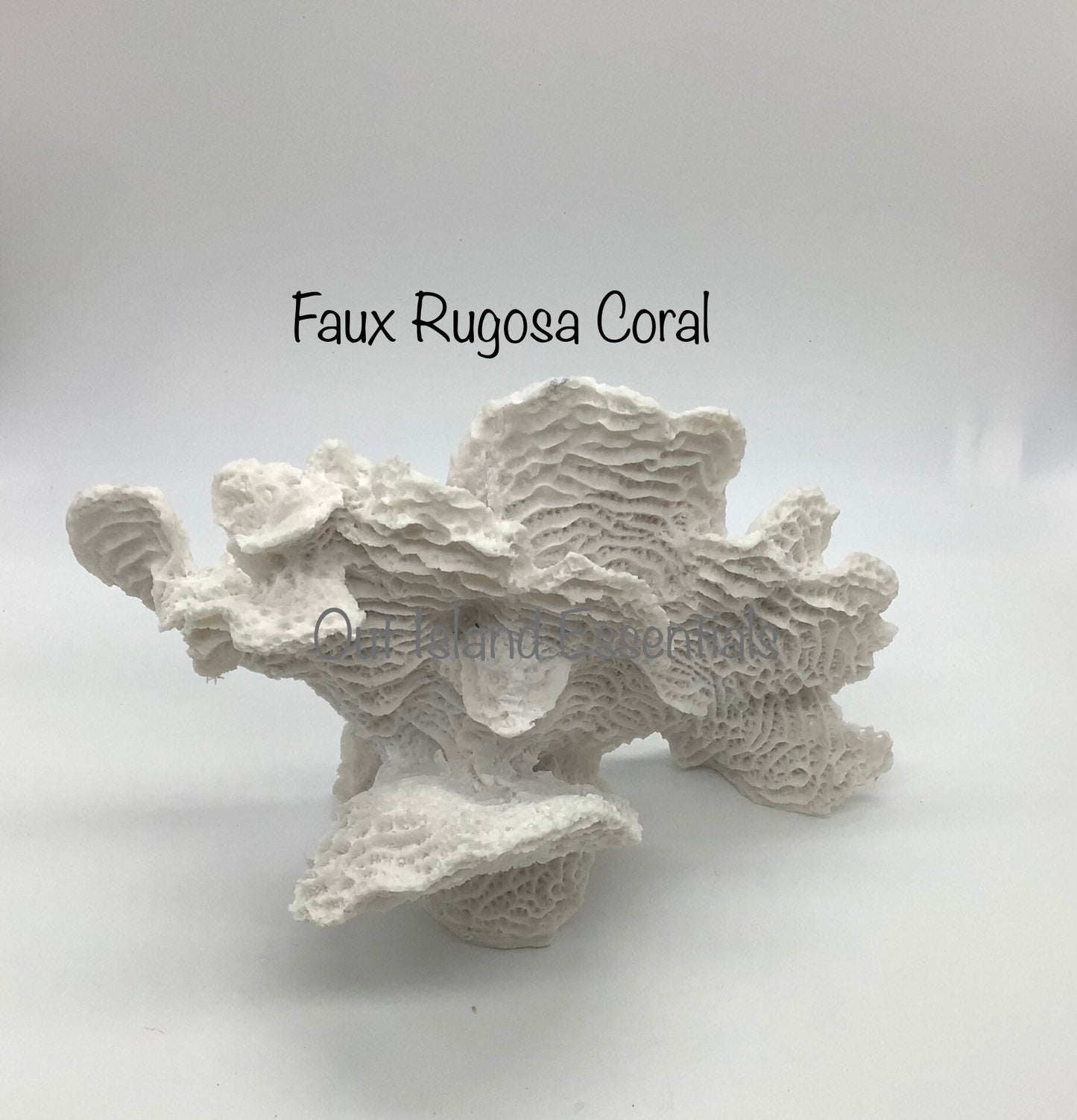 Mounted Faux Rugosa Coral, Eco Friendly Coral, Faux White Rugosa Coral Decor